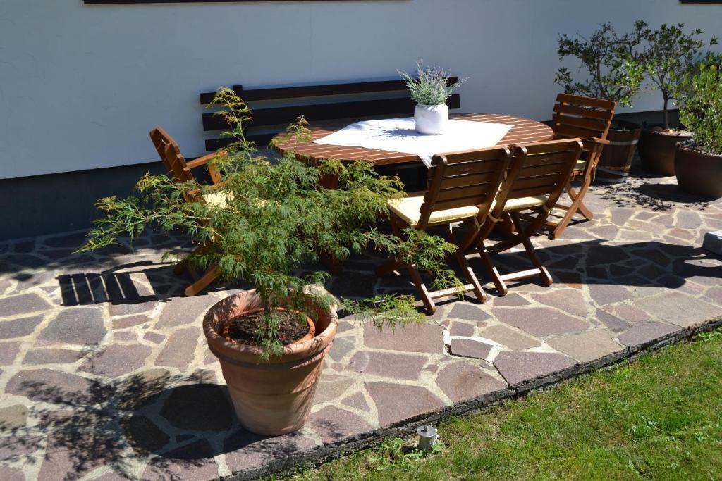 אוץ Appartements Falkner Dorli מראה חיצוני תמונה